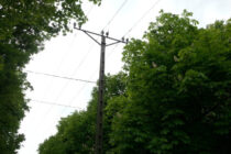 gesztenyesor-batthyany-utca-koskunhalas