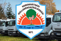 homokhatsag