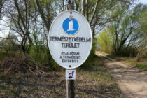 termeszetvedelmi-terulet-fejetek.kiskunhalas