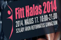 képfit halas
