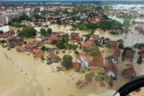 szerbiai arviz