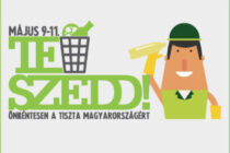 teszedd