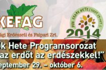 kefagborito