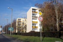 DSCF6619