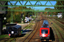 vasut-kohout