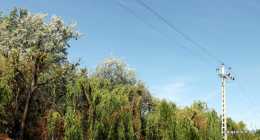 DSCF2808