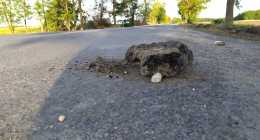 IMG_20220531_190145