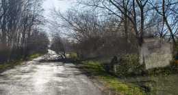 20250313-51ea1e37-8899-4c05-974a-841f6d5ea0c2-gigapixel-standard v2-2x