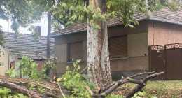 received_1081455226669674