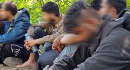 migrans-delalfoldinfo.hu20220709_105449
