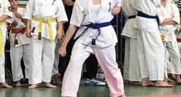 IMG-b05adcca51985732dd6f39e7923bb4d7-V