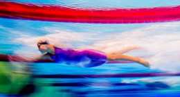 11012976_827879447261680_4489933725127509075_n
