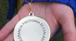 40684749_1974662202585759_2837383110885113856_n