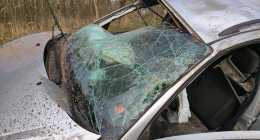 IMG_20260323_083037