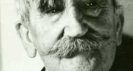 nagy czirok