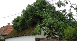 IMG_20190729_094346