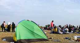 menekultek_halasinfo-hu_2015082613
