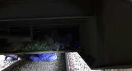 vlcsnap-2014-03-03-09h21m13s189_0