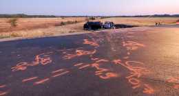 _8050554