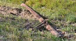 20250420-IMG_20250420_165635