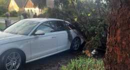 20210801_191620