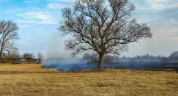 IMG_20230223_152824