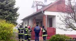 1-IMG_1264