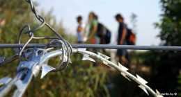 menekultek_halasinfo-hu_2015082632
