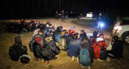 migransok-delalfoldinfo_A120031