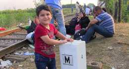 menekultek_halasinfo-hu_2015082680