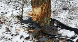 20260103-IMG_20260103_100950