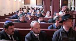 mini-IMG_0968