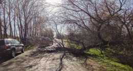 20250313-cde2fe0f-1da4-4957-9f65-427141890ed8-gigapixel-standard v2-2x