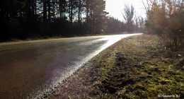 1-DSCF3683
