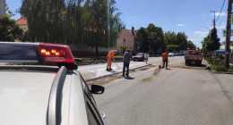IMG_20200708_150234_1