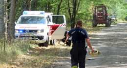 1-DSC09467
