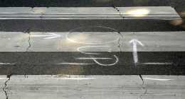 IMG_20200624_082656