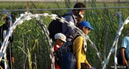 menekultek_halasinfo-hu_2015082637
