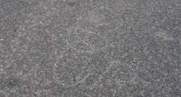 20240613-_6130013