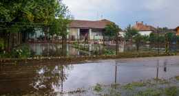 20200804-P8040016
