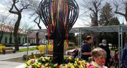 IMG_20210330_151947