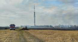 IMG_20230223_152433