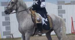 13a A herold