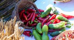 termenyaldas19_15