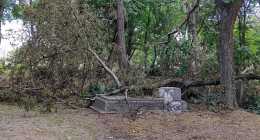 20250720-IMG_20250720_101558
