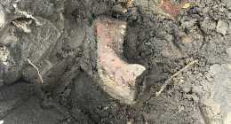 1-IMG_6317