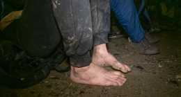 migrans-2