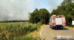 1-IMG_20220719_152933