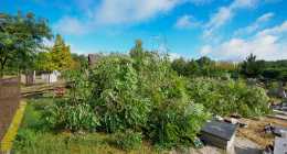 20200901-_HI10025