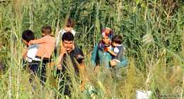 menekultek_halasinfo-hu_2015082634